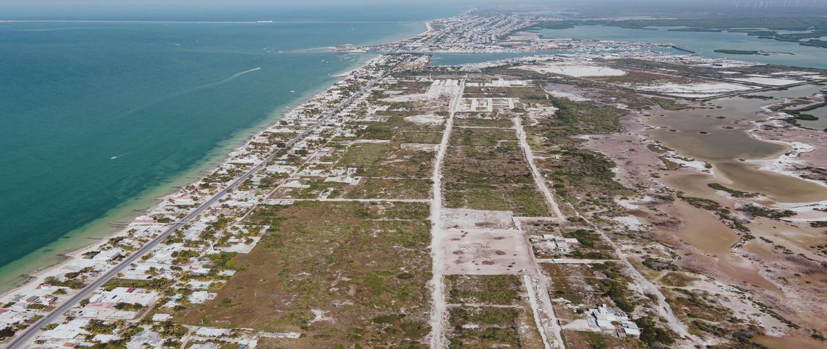 Foto de terreno habitacional en venta en  , chelem, progreso, yucatán, 28278041 No. 05