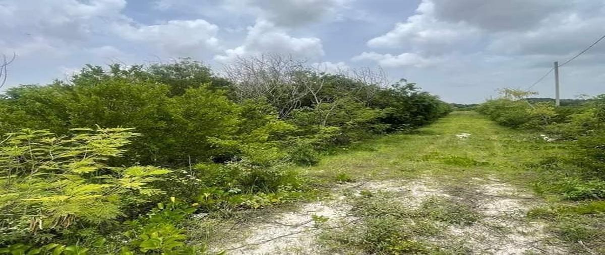 Foto de terreno habitacional en venta en  , chelem, progreso, yucatán, 0 No. 03