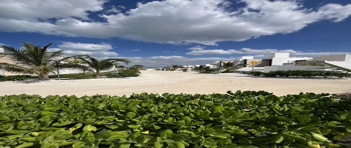 Foto de terreno habitacional en venta en  , chelem, progreso, yucatán, 29490755 No. 04