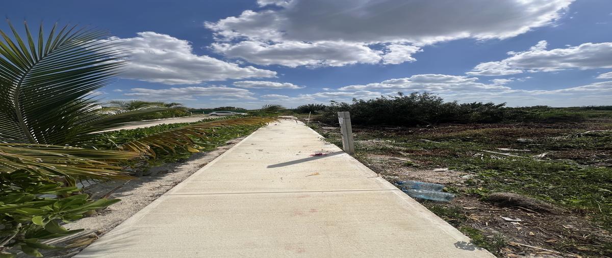 Foto de terreno habitacional en venta en  , chelem, progreso, yucatán, 29490755 No. 05