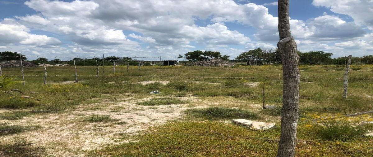 Foto de terreno habitacional en venta en  , chelem, progreso, yucatán, 29548998 No. 03