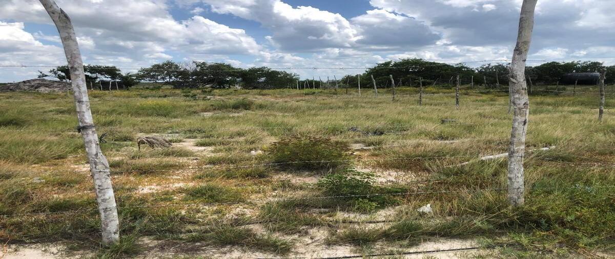 Foto de terreno habitacional en venta en  , chelem, progreso, yucatán, 29548998 No. 04
