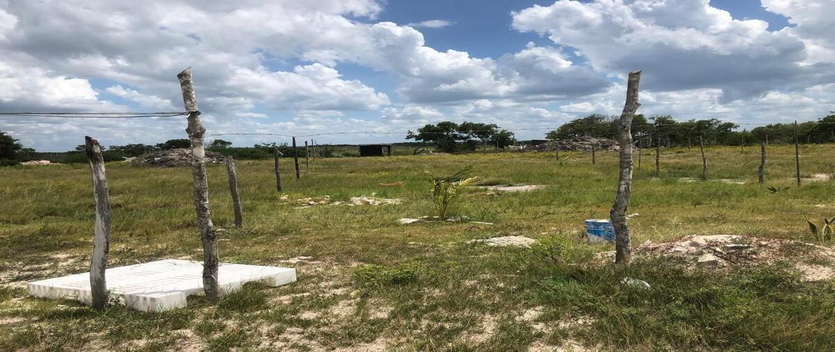 Foto de terreno habitacional en venta en  , chelem, progreso, yucatán, 29548998 No. 05