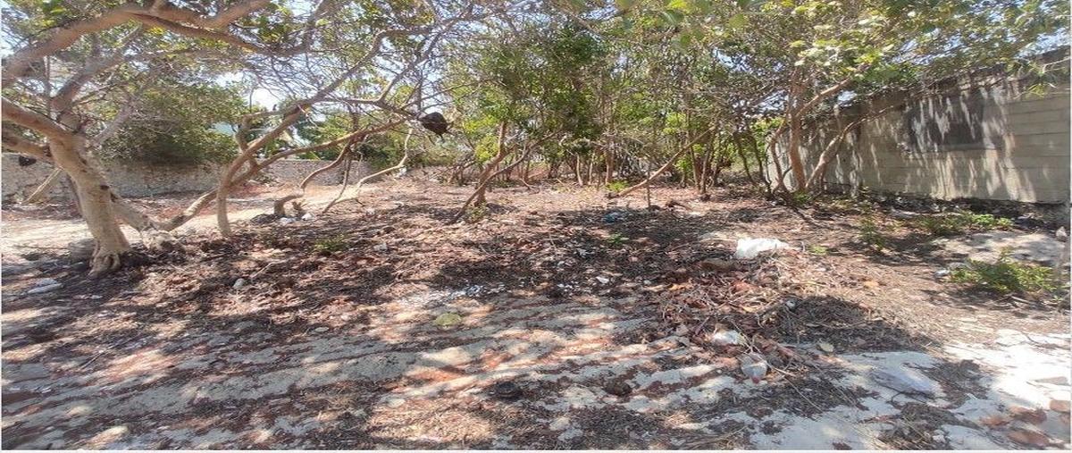 Foto de terreno habitacional en , chelem, progreso, yucatán, 0 foto 05 Foto de terreno habitacional en venta en , chelem, progreso, yucatán, 0 No. 05