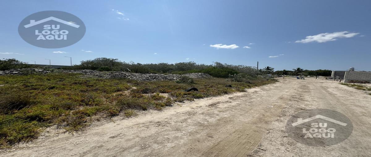 Foto de terreno habitacional en venta en  , chelem, progreso, yucatán, 29828583 No. 03