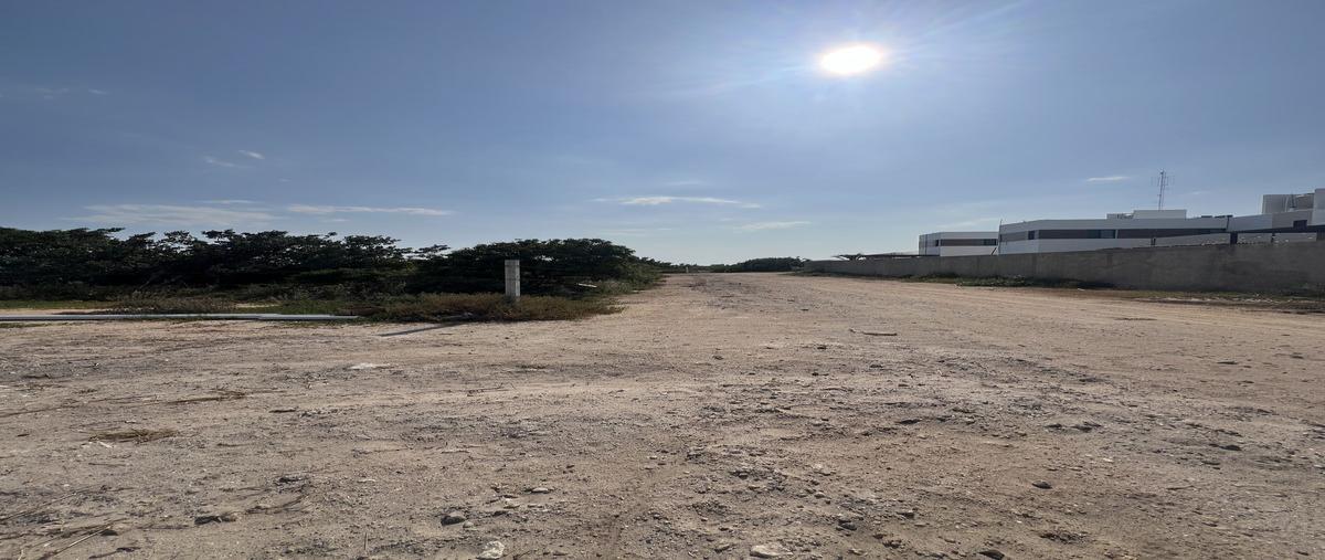 Foto de terreno habitacional en venta en  , chelem, progreso, yucatán, 0 No. 03