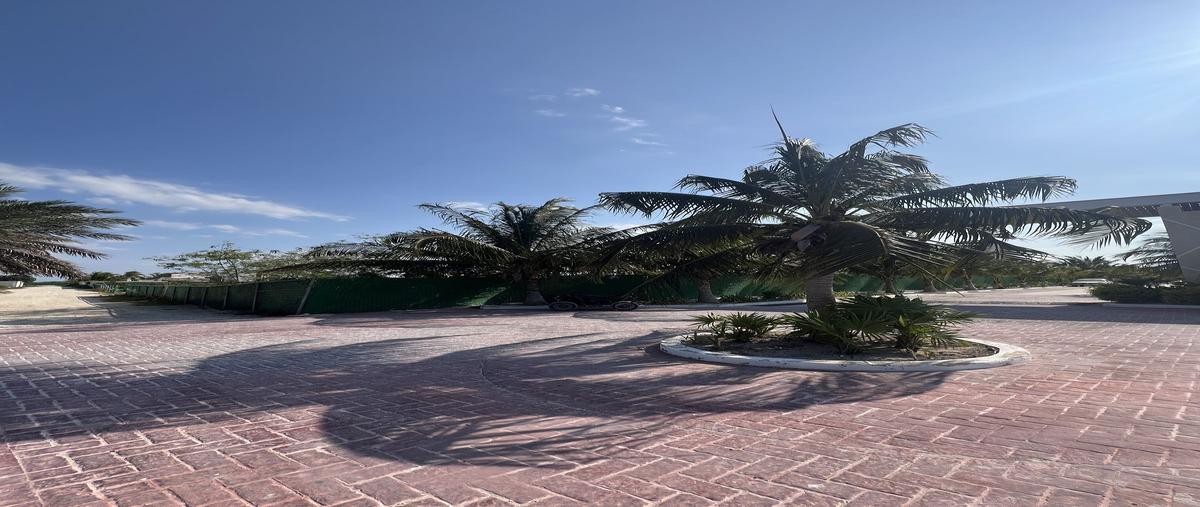 Foto de terreno habitacional en venta en  , chelem, progreso, yucatán, 0 No. 04