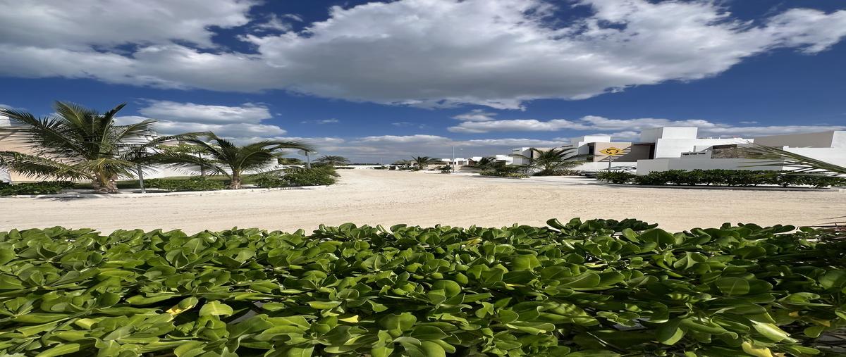 Foto de terreno habitacional en venta en  , chelem, progreso, yucatán, 0 No. 03