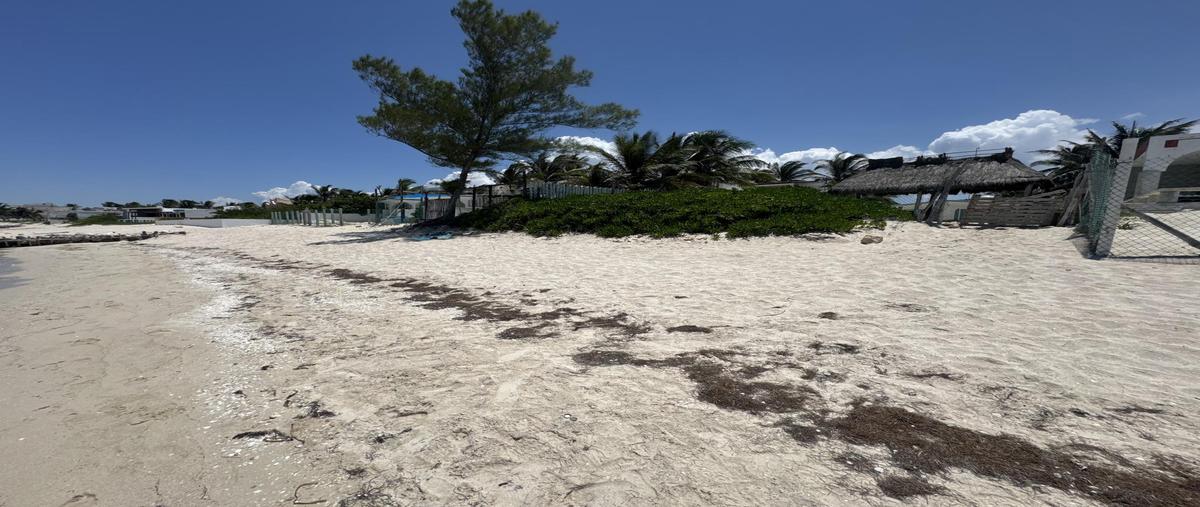 Foto de casa en venta en  , chelem, progreso, yucatán, 0 No. 04