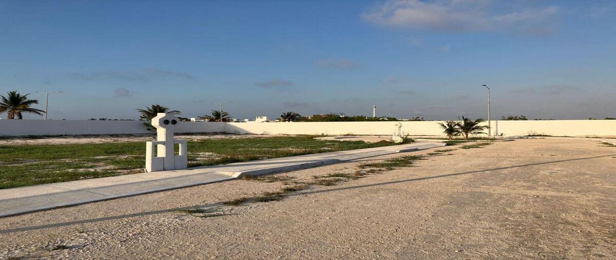 Foto de terreno habitacional en venta en  , chelem, progreso, yucatán, 30526234 No. 03