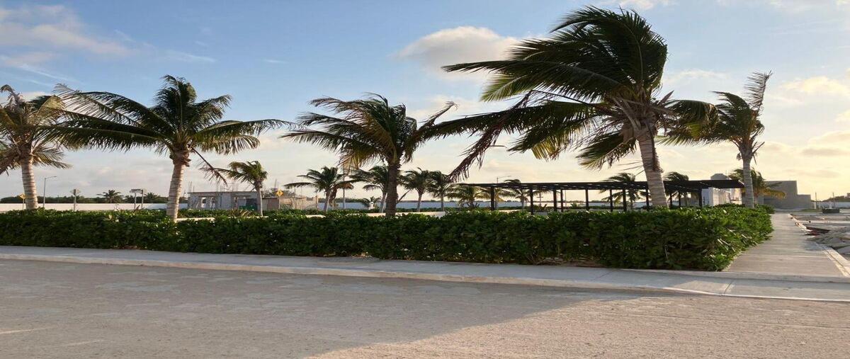Foto de terreno habitacional en venta en  , chelem, progreso, yucatán, 30526234 No. 04