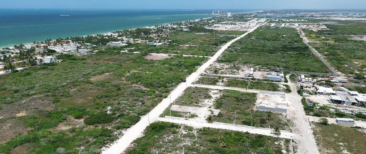 Foto de terreno habitacional en , chelem, progreso, yucatán, 0 foto 01 Foto de terreno habitacional en venta en , chelem, progreso, yucatán, 0 No. 01
