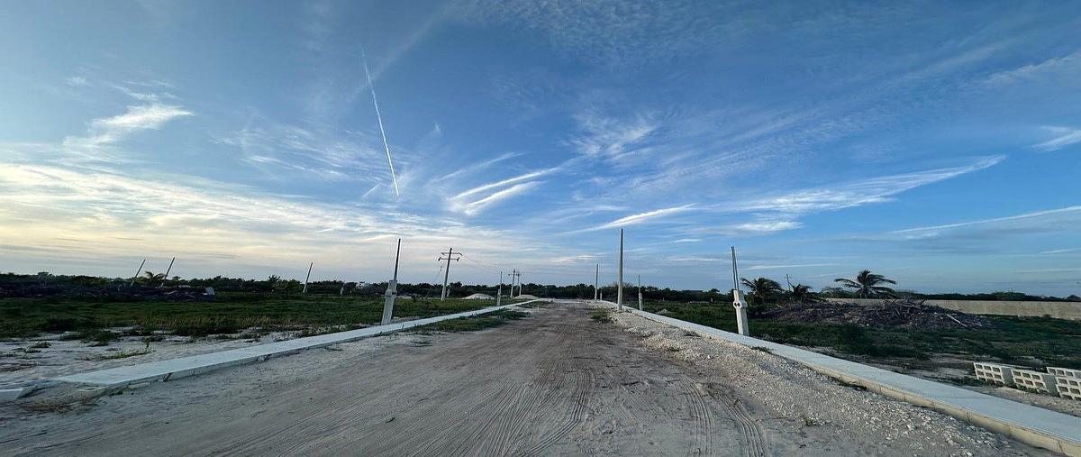 Foto de terreno habitacional en , chelem, progreso, yucatán, 0 foto 04 Foto de terreno habitacional en venta en , chelem, progreso, yucatán, 0 No. 04