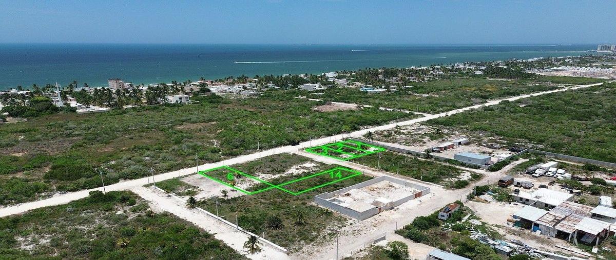 Foto de terreno habitacional en , chelem, progreso, yucatán, 0 foto 05 Foto de terreno habitacional en venta en , chelem, progreso, yucatán, 0 No. 05