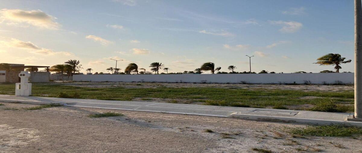 Foto de terreno habitacional en venta en  , chelem, progreso, yucatán, 30710377 No. 05