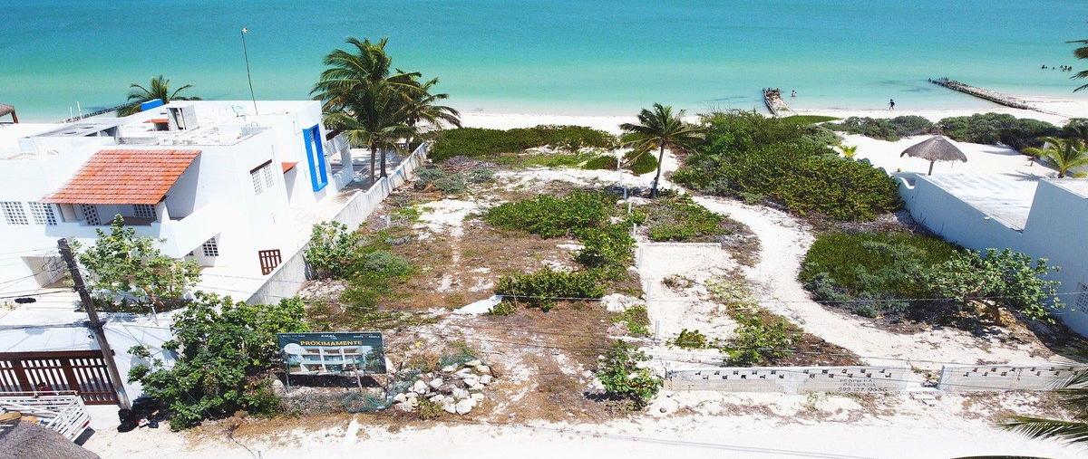 Foto de rancho en . , chelem, progreso, yucatán, 0 foto 04 Foto de rancho en venta en . , chelem, progreso, yucatán, 0 No. 04