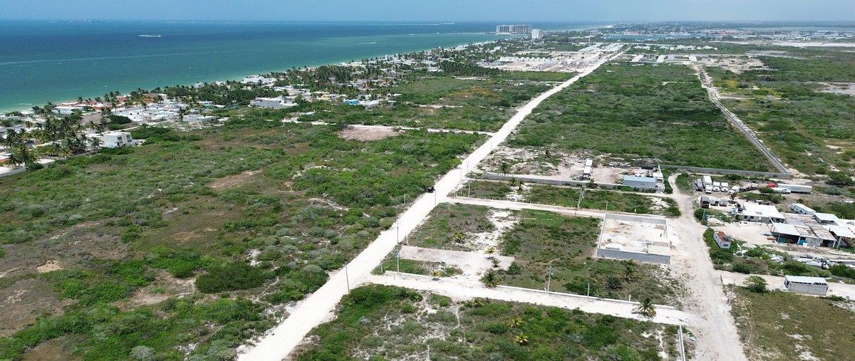 Foto de terreno habitacional en venta en  , chelem, progreso, yucatán, 0 No. 04