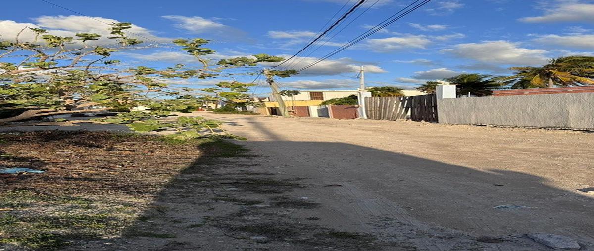 Foto de terreno habitacional en venta en  , chelem, progreso, yucatán, 30909512 No. 05