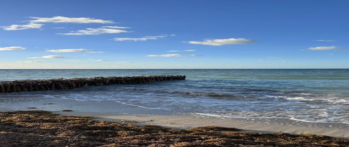 Foto de terreno habitacional en venta en  , chelem, progreso, yucatán, 30909512 No. 06