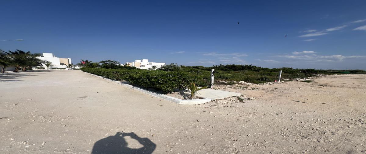 Foto de terreno habitacional en venta en  , chelem, progreso, yucatán, 0 No. 03