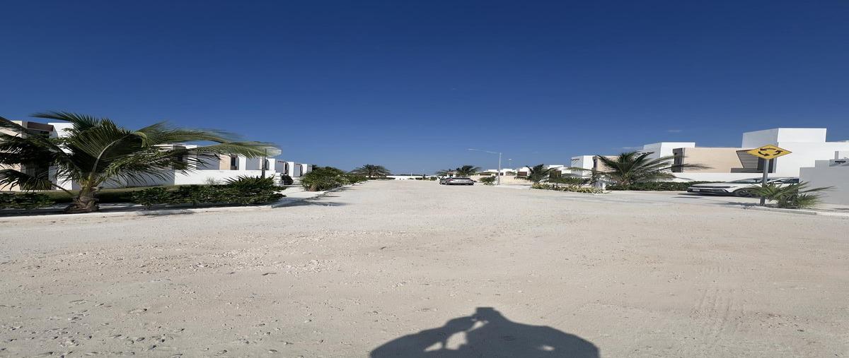 Foto de terreno habitacional en venta en  , chelem, progreso, yucatán, 0 No. 04