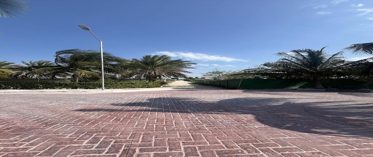 Foto de terreno habitacional en venta en  , chelem, progreso, yucatán, 0 No. 05