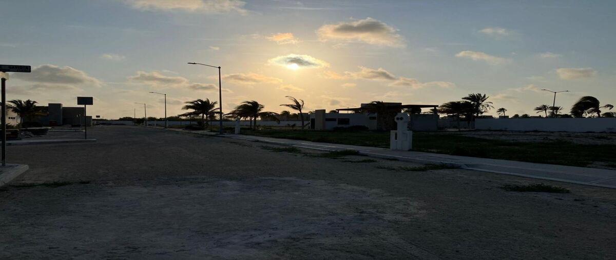 Foto de terreno habitacional en venta en  , chelem, progreso, yucatán, 0 No. 03