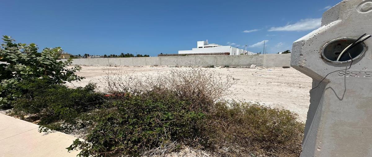 Foto de terreno habitacional en venta en  , chelem, progreso, yucatán, 31426634 No. 03