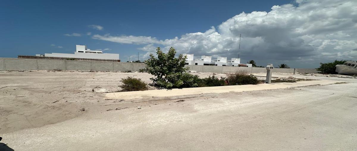 Foto de terreno habitacional en venta en  , chelem, progreso, yucatán, 31426634 No. 04