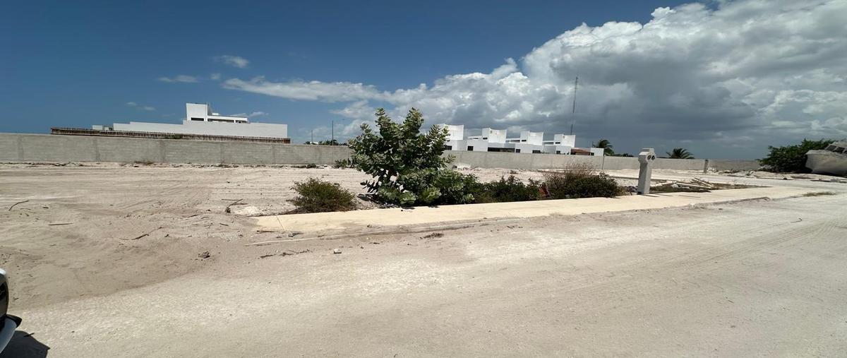 Foto de terreno habitacional en venta en  , chelem, progreso, yucatán, 31426634 No. 05