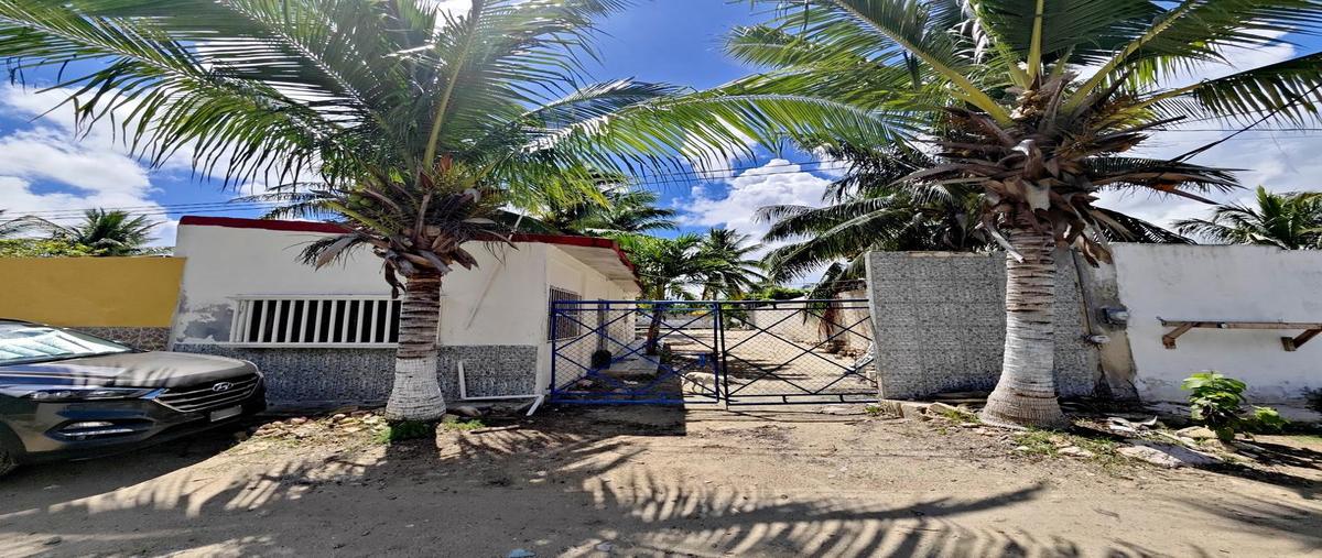 Foto de casa en venta en  , chelem, progreso, yucatán, 31426635 No. 04