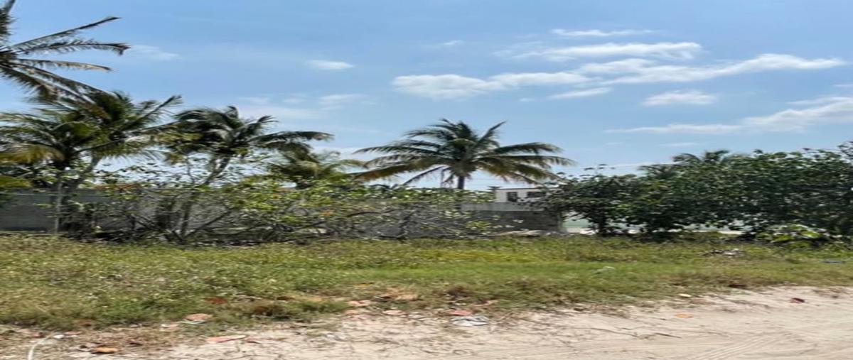 Foto de terreno habitacional en chelem, progreso, yucatán , chelem, progreso, yucatán, 0 foto 05 Foto de terreno habitacional en venta en chelem, progreso, yucatán , chelem, progreso, yucatán, 0 No. 05