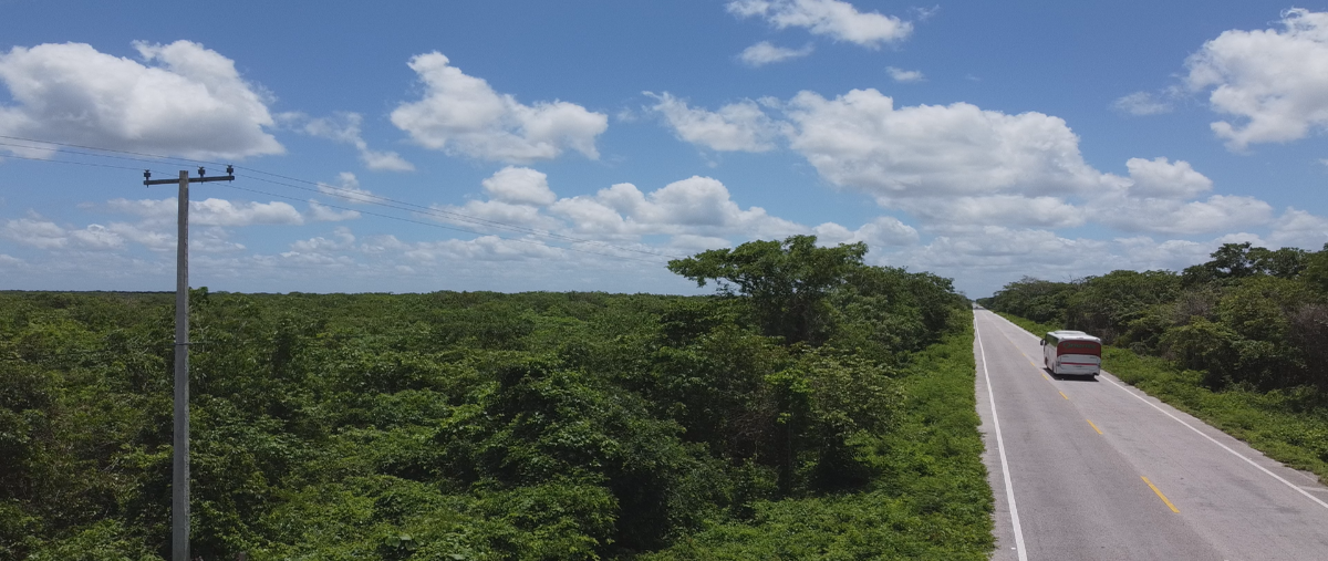 Foto de terreno habitacional en , chemax, chemax, yucatán, 17823399 foto 03 Foto de terreno habitacional en venta en , chemax, chemax, yucatán, 17823399 No. 03
