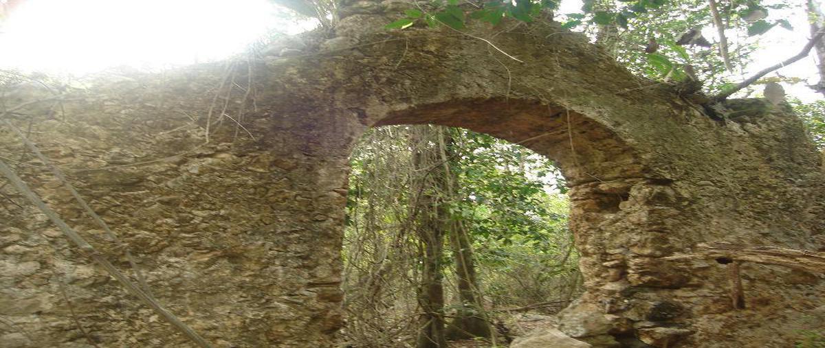 Foto de casa en venta en  , chemax, chemax, yucatán, 0 No. 05