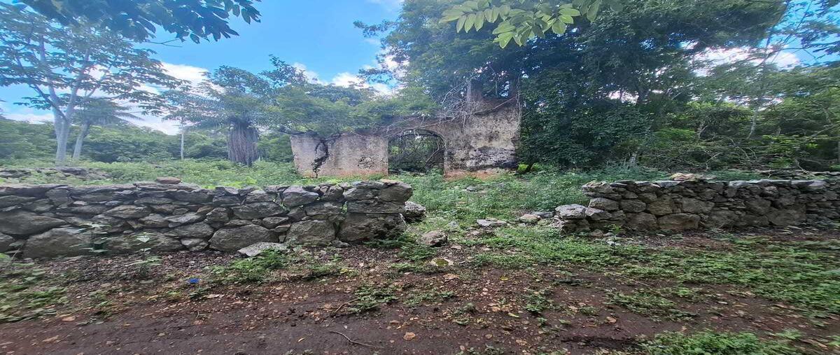 Foto de terreno habitacional en , chemax, chemax, yucatán, 0 foto 01 Foto de terreno habitacional en venta en , chemax, chemax, yucatán, 0 No. 01
