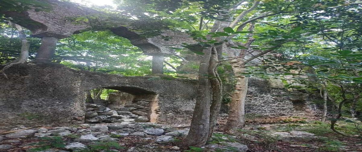 Foto de terreno habitacional en , chemax, chemax, yucatán, 0 foto 02 Foto de terreno habitacional en venta en , chemax, chemax, yucatán, 0 No. 02