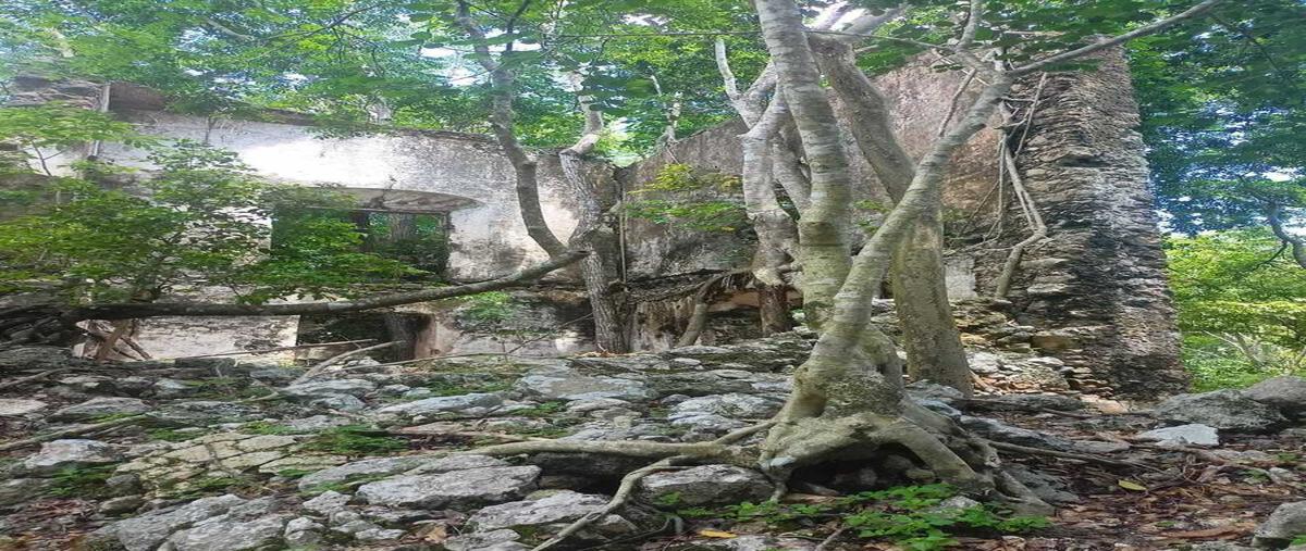 Foto de terreno habitacional en , chemax, chemax, yucatán, 0 foto 05 Foto de terreno habitacional en venta en , chemax, chemax, yucatán, 0 No. 05