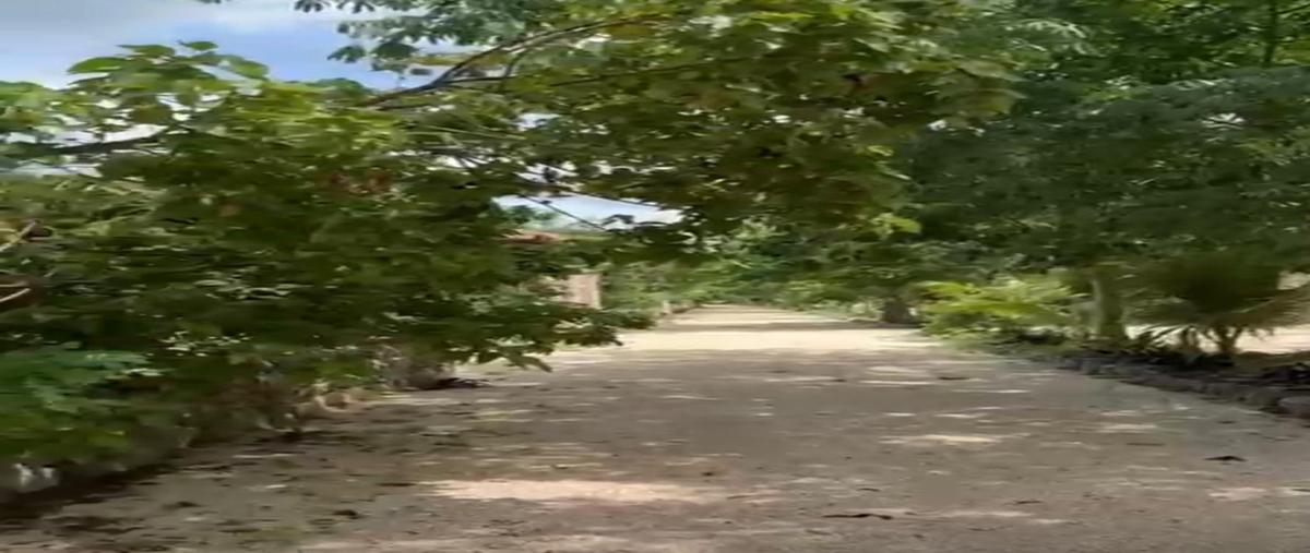 Foto de terreno habitacional en venta en  , chemax, chemax, yucatán, 0 No. 04