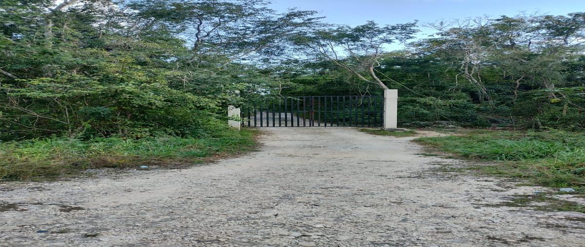 Foto de rancho en , chemax, chemax, yucatán, 0 foto 01 Foto de rancho en venta en , chemax, chemax, yucatán, 0 No. 01