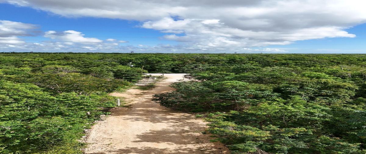 Foto de terreno habitacional en venta en chemuyil , ciudad chemuyil, tulum, quintana roo, 29387832 No. 03