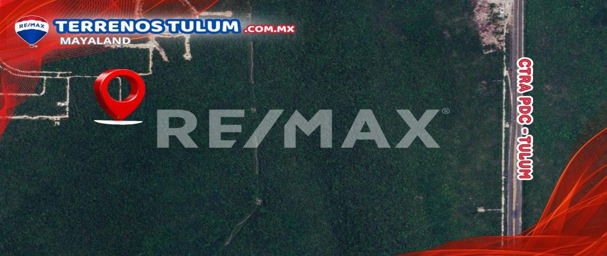 Foto de terreno habitacional en venta en chemuyil , ciudad chemuyil, tulum, quintana roo, 0 No. 03