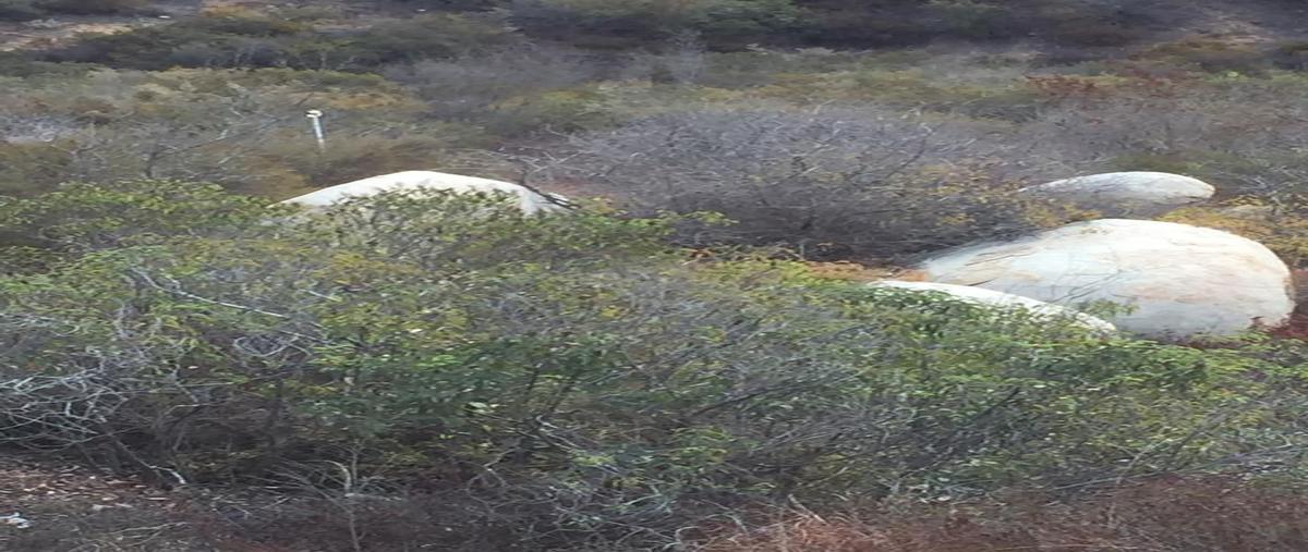 Foto de terreno habitacional en venta en chenin blanc , lomas de san antonio, ensenada, baja california, 0 No. 05