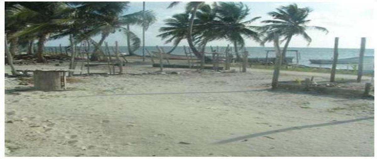 Foto de terreno habitacional en , chetumal centro, othón p. blanco, quintana roo, 0 foto 01 Foto de terreno habitacional en venta en , chetumal centro, othón p. blanco, quintana roo, 0 No. 01