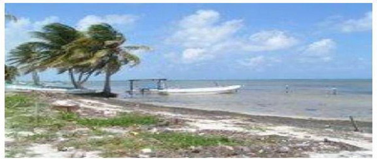 Foto de terreno habitacional en , chetumal centro, othón p. blanco, quintana roo, 0 foto 02 Foto de terreno habitacional en venta en , chetumal centro, othón p. blanco, quintana roo, 0 No. 02