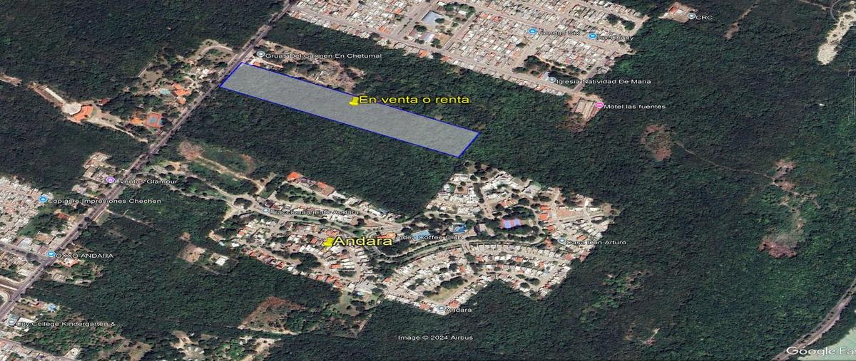 Foto de terreno habitacional en renta en  , chetumal (internacional de chetumal), othón p. blanco, quintana roo, 0 No. 03