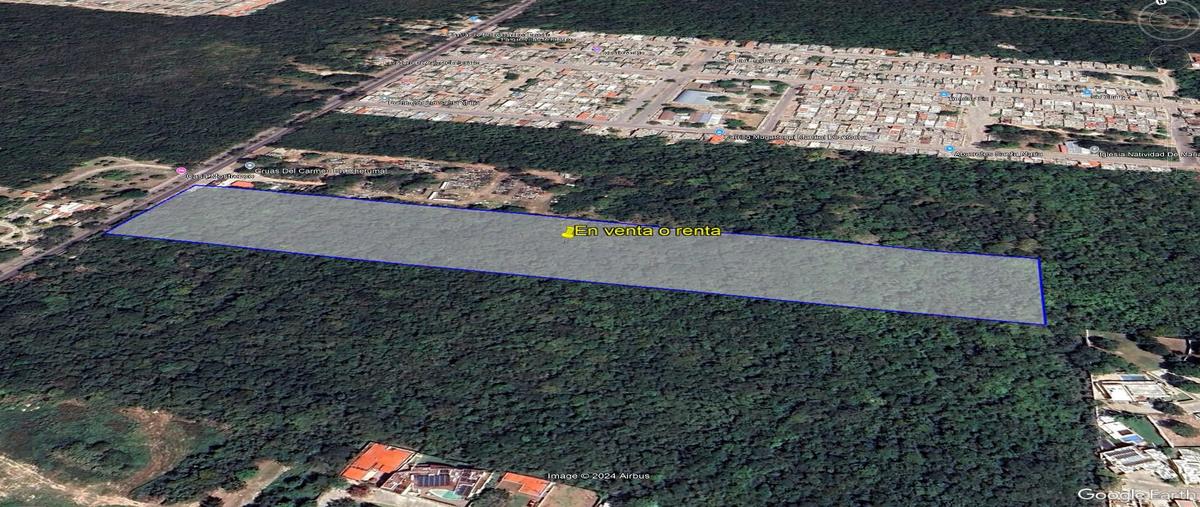Foto de terreno habitacional en renta en  , chetumal (internacional de chetumal), othón p. blanco, quintana roo, 0 No. 05