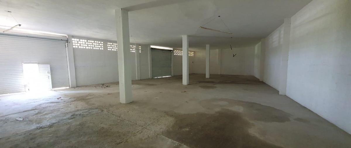 Foto de bodega en renta en  , chetumal (internacional de chetumal), othón p. blanco, quintana roo, 0 No. 05