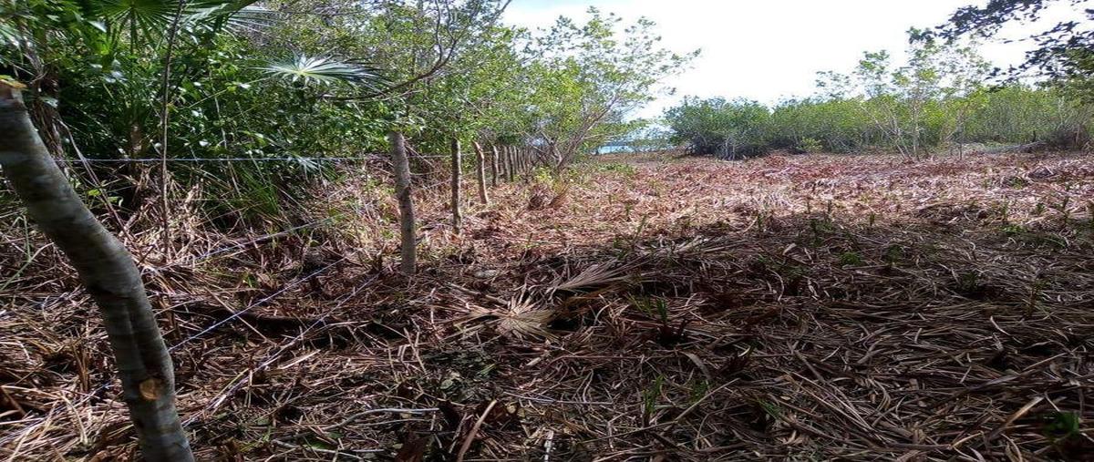 Foto de terreno habitacional en venta en  , chetumal (internacional de chetumal), othón p. blanco, quintana roo, 0 No. 04