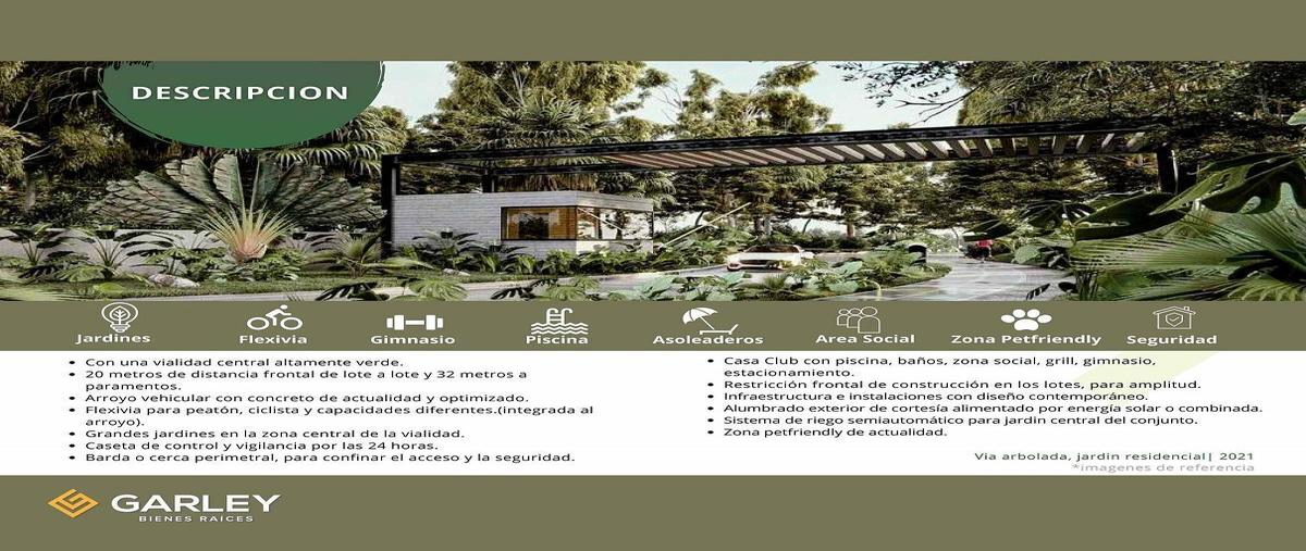 Foto de terreno habitacional en venta en chetumal-cancún , playa magna, solidaridad, quintana roo, 21968032 No. 03