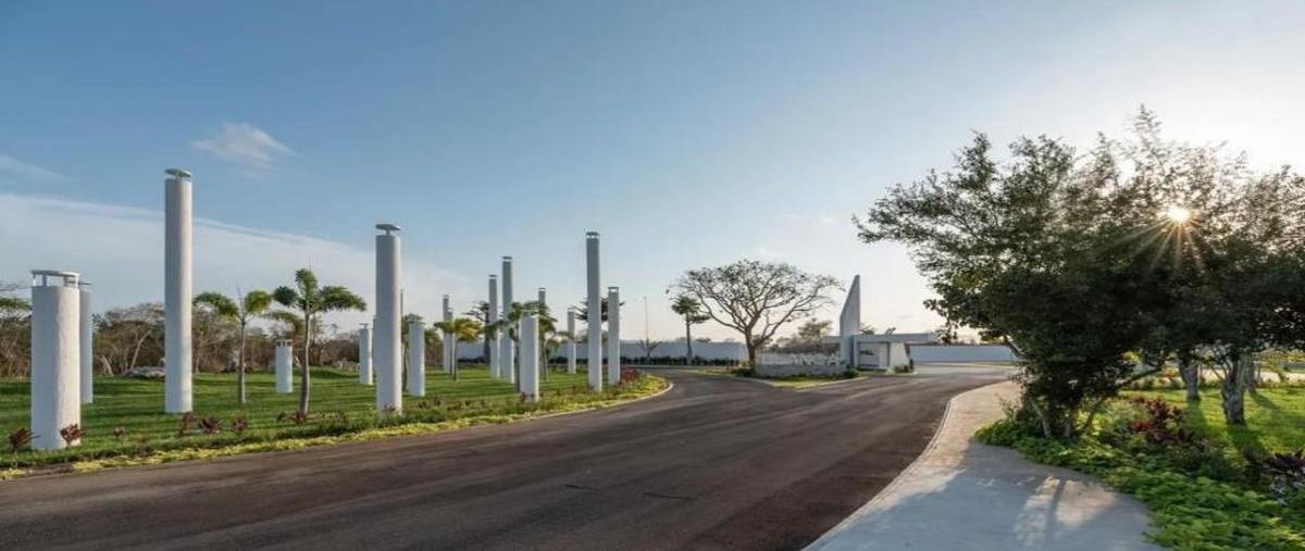 Foto de terreno habitacional en venta en - -, cheuman, mérida, yucatán, 30235600 No. 03